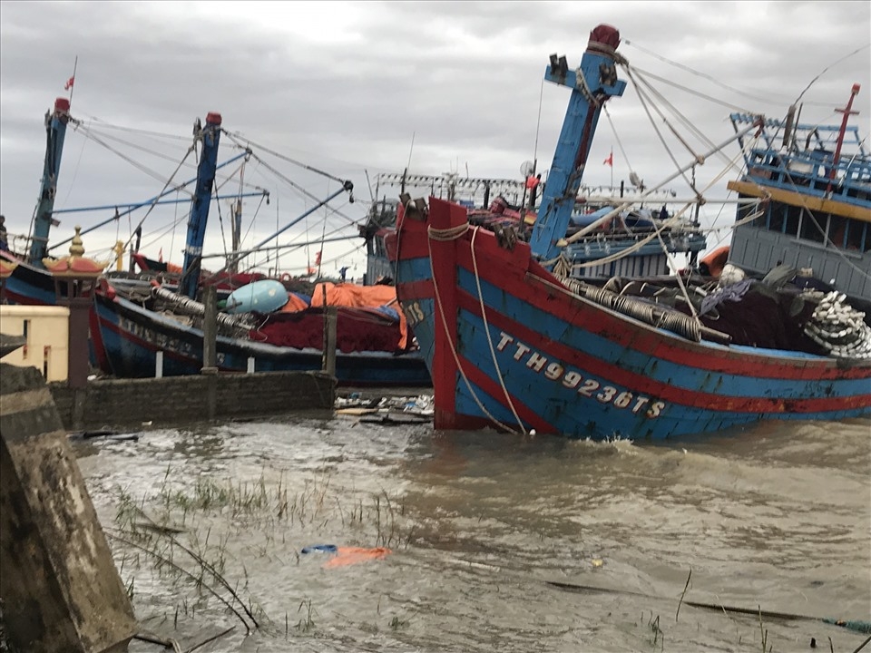Vào thời điểm này cũng có nhiều tàu cá neo đậu tại đây bị đứt dây, đâm vào bờ.