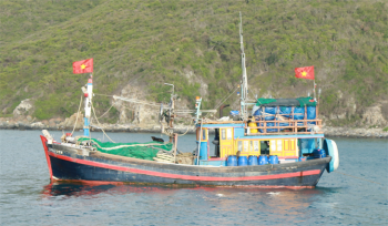 Tàu cá hợp sức “tác chiến” trên biển