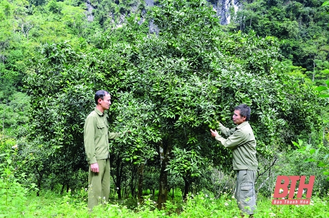 Đến với Kho Mường