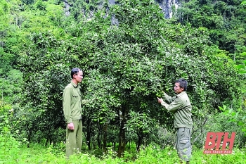 thanh hoa kham pha thien nhien tho mong nui rung tay bac o kho muong