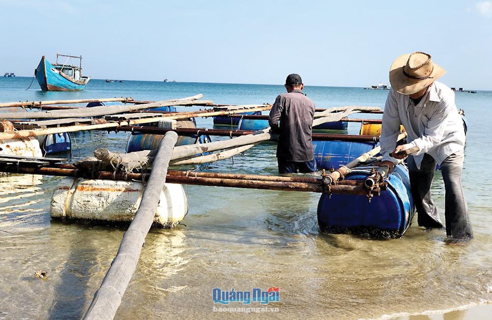 Hầu hết lồng bè nuôi biển trên địa bàn tỉnh sử dụng khung tre hoặc gỗ, phao xốp nổi nên không đảm bảo an toàn, gây ô nhiễm môi trường biển.
