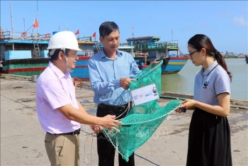 huong den nhung cang ca xanh ven bien