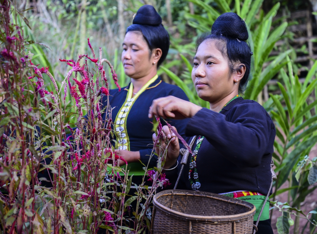 Tết hoa Mào gà đã được người dân bản Lả Chà chú trọng bảo tồn, gìn giữ trong những năm qua.