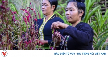 Về biên giới Lả Chà vui Tết Hoa cùng đồng bào dân tộc Cống