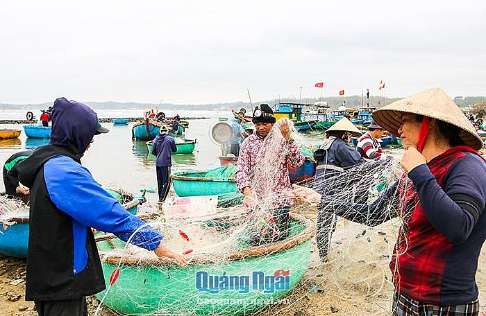 Nhộn nhịp làng chài ngày biển lặng Nhộn nhịp làng chài ngày biển lặng