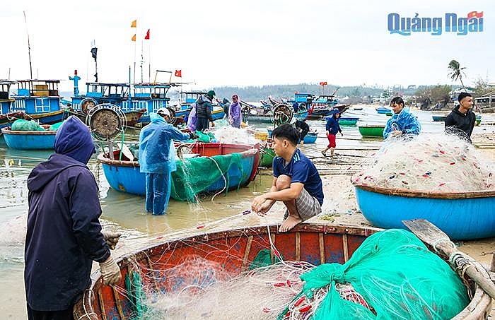 Nhộn nhịp làng chài ngày biển lặng Nhộn nhịp làng chài ngày biển lặng