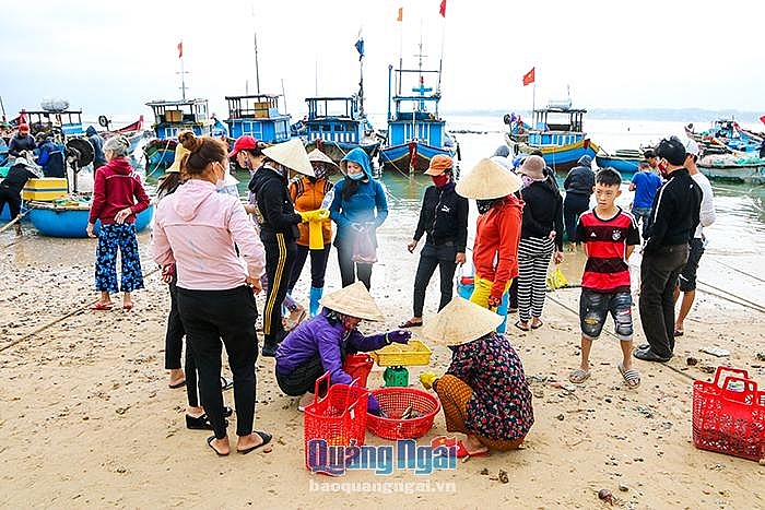 Nhộn nhịp làng chài ngày biển lặng Nhộn nhịp làng chài ngày biển lặng
