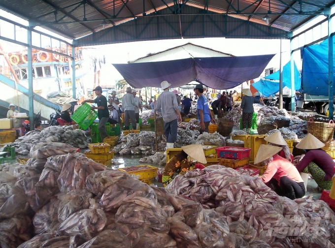 Do các tàu cá và thuyền trưởng tàu cá không ghi hoặc ghi thiếu trung thực nhật ký khai thác dẫn đến sai sót số liệu khi đối chiếu trong khâu kiểm tra, gây khó khăn cho việc xác nhận nguồn gốc thủy sản, lưu trữ hồ sơ theo quy định của EC.