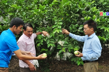 Hà Giang: Làng người Dao kiểu mẫu ở Hùng Tâm