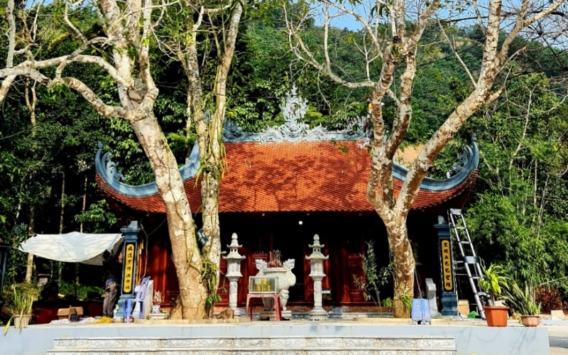 mieuong-1607676630683.jpg