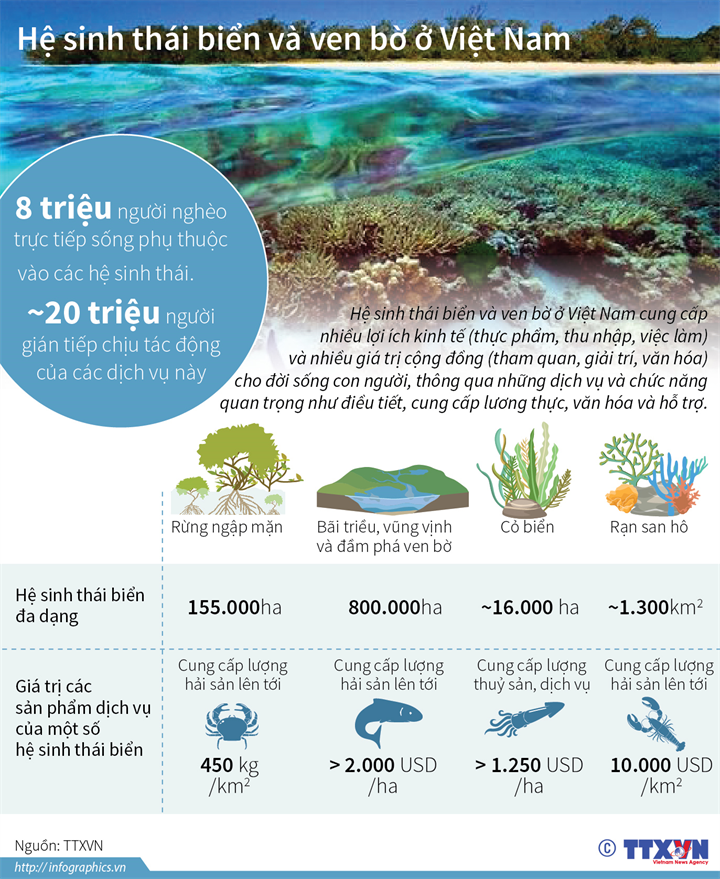 Cấp bách bảo tồn biển Việt Nam
