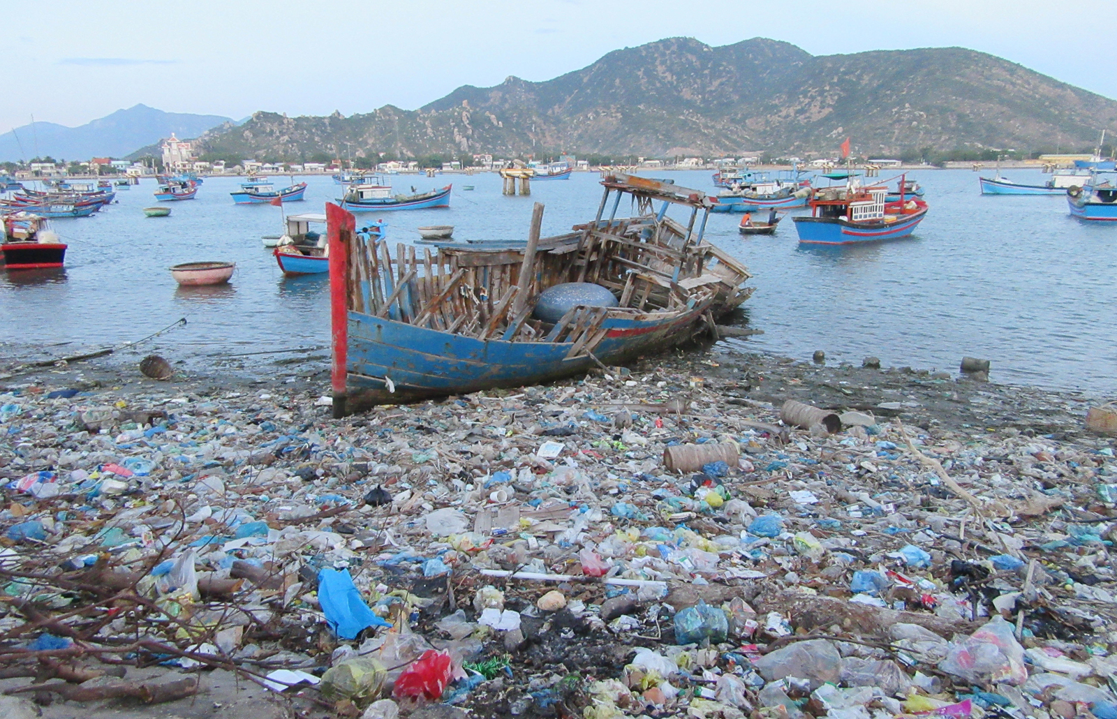 Cấp bách bảo tồn biển Việt Nam