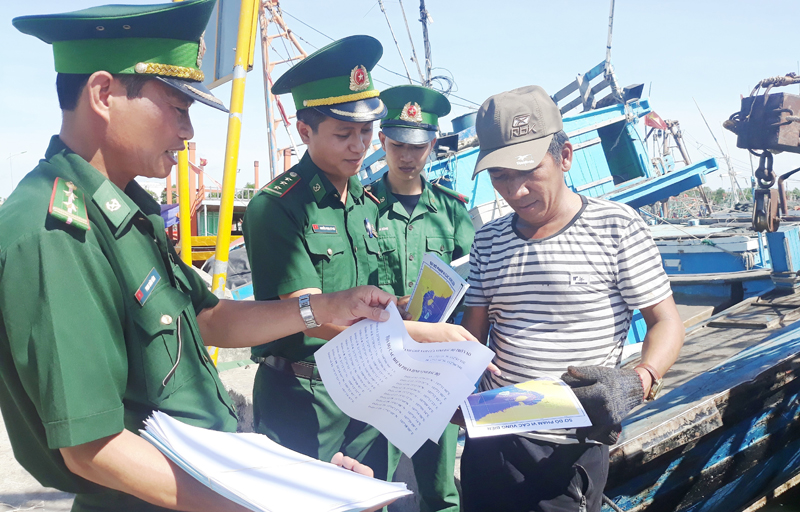 Cấp bách bảo tồn biển Việt Nam
