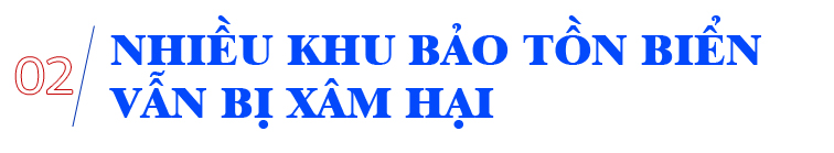 Cấp bách bảo tồn biển Việt Nam