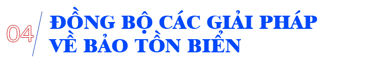 Cấp bách bảo tồn biển Việt Nam