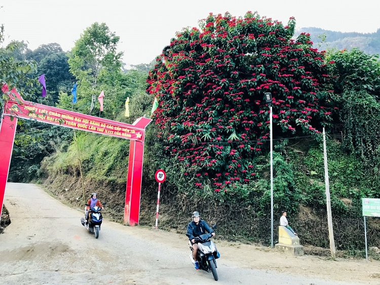 Rực rỡ mùa hoa trạng nguyên nơi biên giới