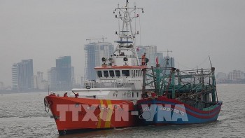 ung cuu thanh cong tau ca cua ngu dan mac can tren quan dao truong sa