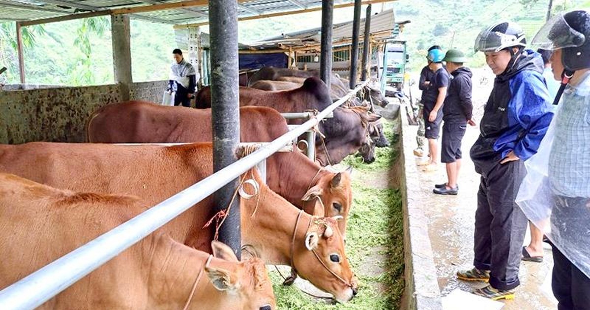 Đổi thay ở vùng cao Trạm Tấu