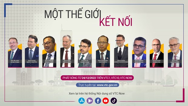 'Mot the gioi ket noi': Cac nha ngoai giao ke chuyen 'di su' Viet Nam hinh anh 2