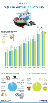 Năm 2022, Việt Nam xuất siêu 11,2 tỷ USD