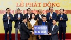 hoa hau han mang me chong mo cua tu lanh 13 giay lang phi dien