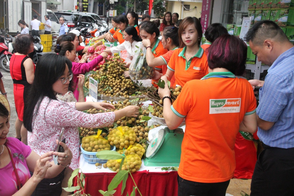 hapro to chuc dai hoi dong co dong thuong nien nam 2019