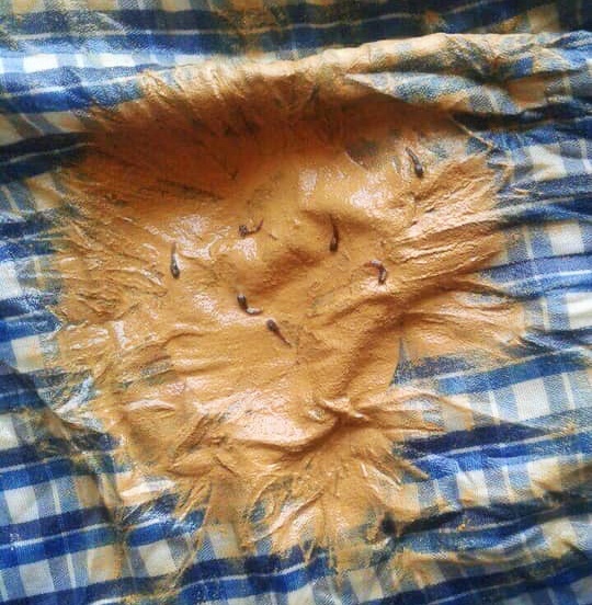 3000 sinh vien dh kinh te dung nuoc ban khong the khac phuc triet de