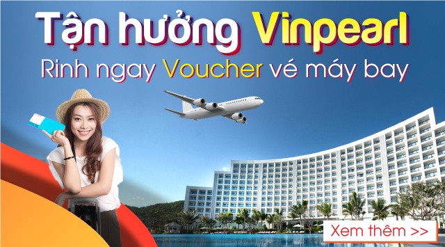 chu hang khong vinpearl air la ai