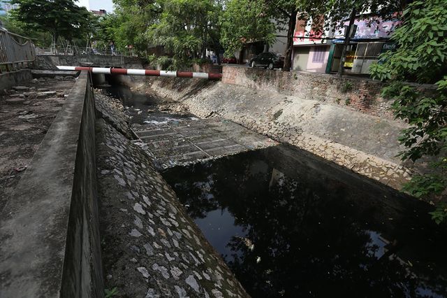 Cá chết nổi trên sông Tô Lịch sau khi dừng nhận nước từ Hồ Tây