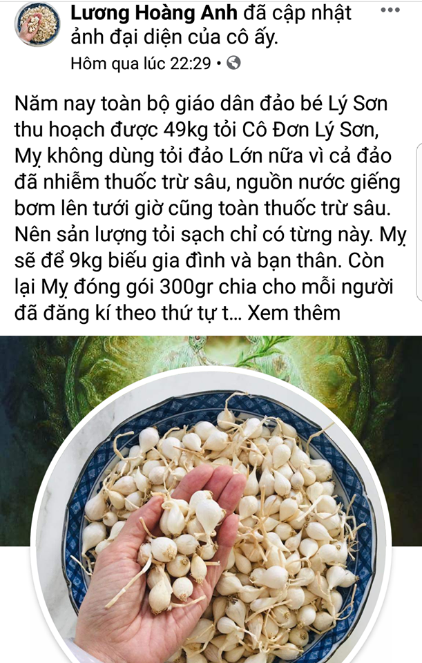facebooker luong hoang anh bi phat 125 trieu dong vi tung tin that thiet ve toi ly son