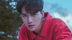 truc nhan dang anh gay go 10 nam truoc loat sao viet che khong tiec loi