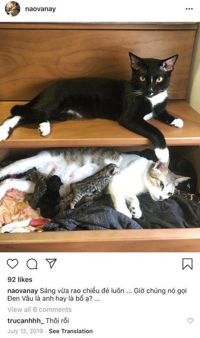 Những sao Việt đang vướng nghi án bí mật hẹn hò nhung sao viet dang vuong nghi an bi mat hen ho