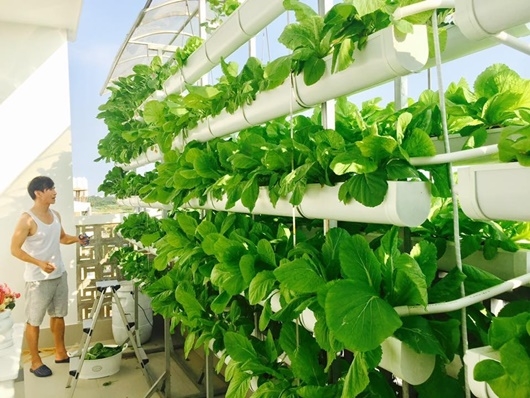 ghe tham khu vuon trong mo nha sao viet