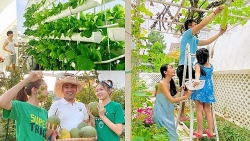 phim truong nhung ngay khong quen mua dich ha anh tu su ve ha noi sau cach ly