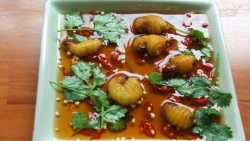 Về Bạc Liêu nghe "Dạ cổ hoài lang" và thưởng thức nhiều đặc sản hấp dẫn