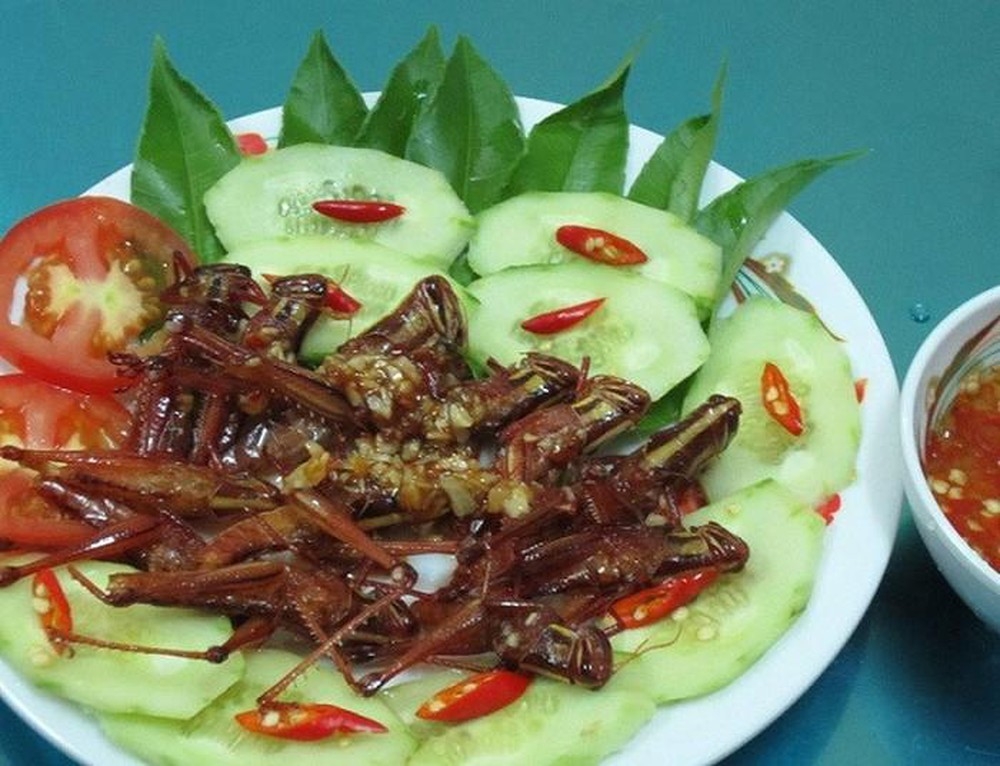 Ghé Đồng Nai ăn dế cơm chiên mắm và những đặc sản khác ghe dong nai an de com chien mam va nhung dac san khac