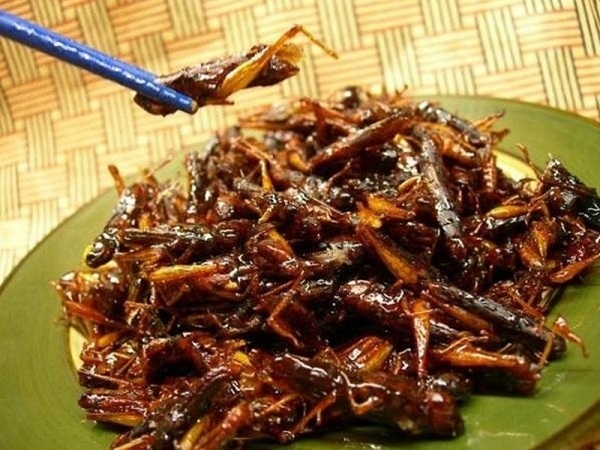 Kon Tum - vùng đất đại ngàn với những đặc sản độc đáo kon tum vung dat dai ngan voi nhung dac san doc dao