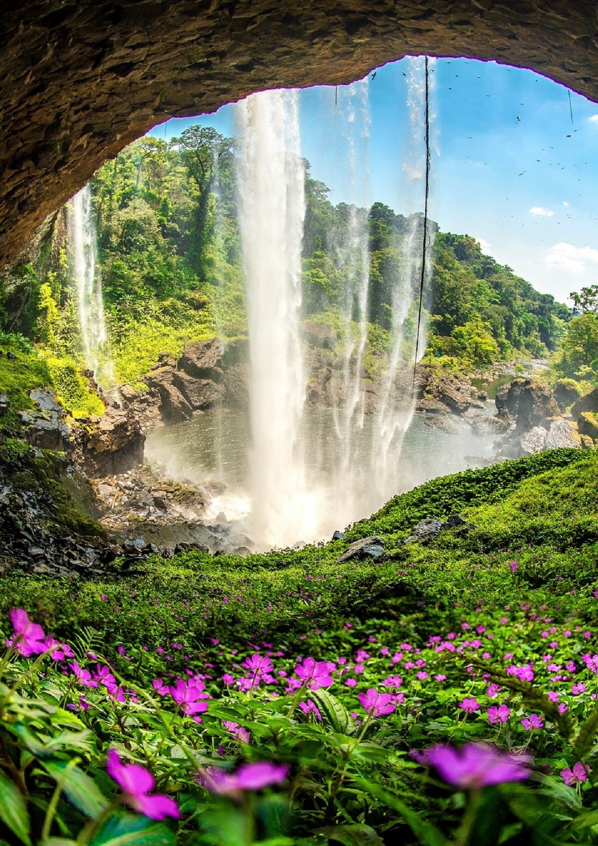 anh mua hoa sung chup o chua huong dat giai nhat cuoc thi quoc te