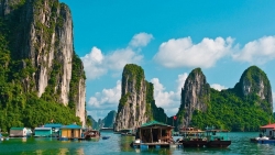 dinh chi hoat dong 90 ngay doi voi tau du lich chat chem khach tham quan vinh ha long