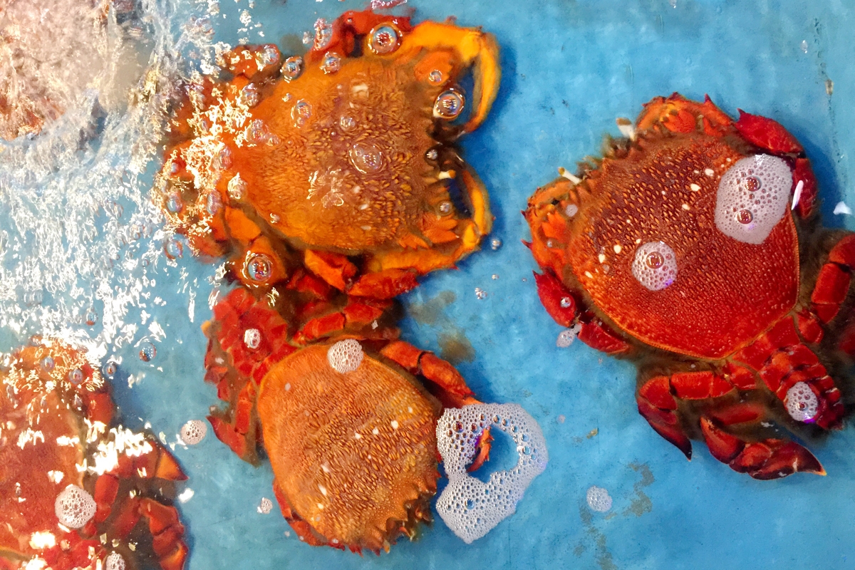 den dao binh ba ngam thien nhien dep nao long va thuong thuc hai san tuoi song