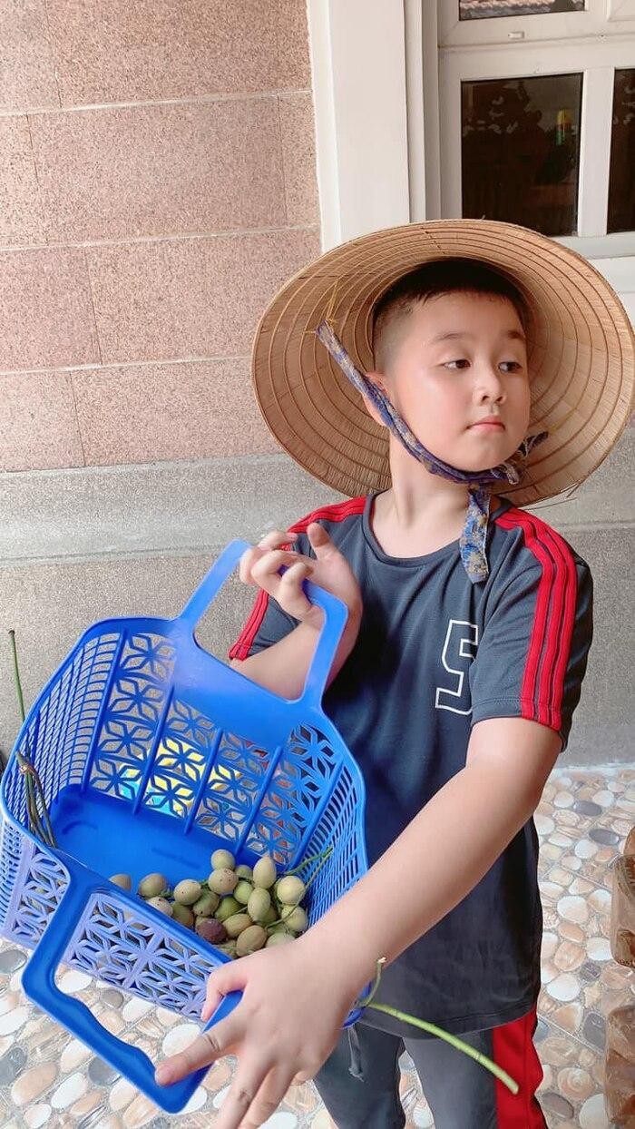 tin tuc giai tri sao viet hom nay 145 mc thanh trung thoat canh thue nha cuoc song cua ha phuong o noi tam dich