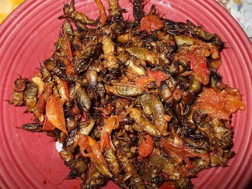 nhung dac san danh bat hu truyen cua philippines