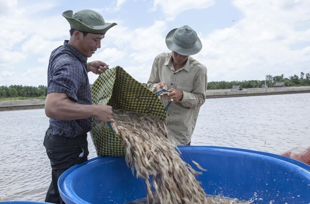 dong bang song cuu long lan dau dat kim ngach xuat khau 175 ty usd