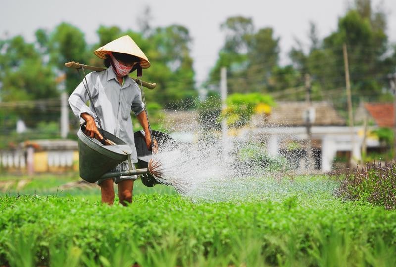 Từ làng rau Trà Quế đến ngôi làng hạnh phúc