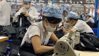 Việt Nam – Ấn Độ phát huy thế mạnh kinh tế dựa trên lợi thế có sẵn