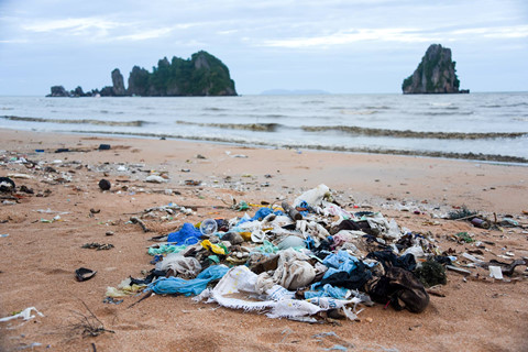 hanh trinh 3260 km cua nguoi san rac khap bo bien viet nam