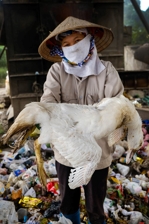 hanh trinh 3260 km cua nguoi san rac khap bo bien viet nam