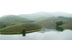 nhung nghe chi o vung bien moi co