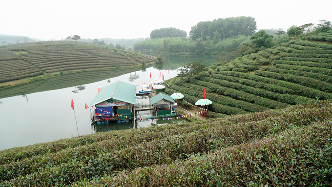 oc dao che co mot khong hai o vung bien gioi viet nam