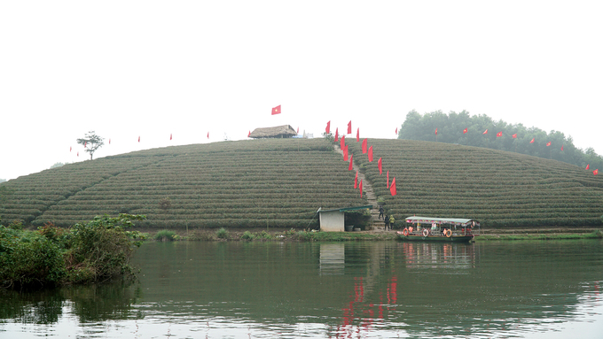 oc dao che co mot khong hai o vung bien gioi viet nam
